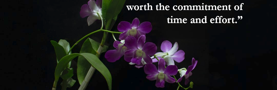 Clear Mind Process Quote 09